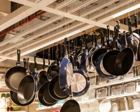 PTFE Nutrition, Garlic Milk and Striped Cattle Excel at 2025 Ig Nobel Prizes