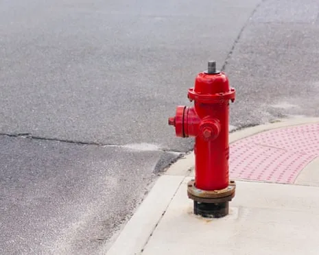 In 2009, Who Crashed a Luxury SUV Against a Water Plug?