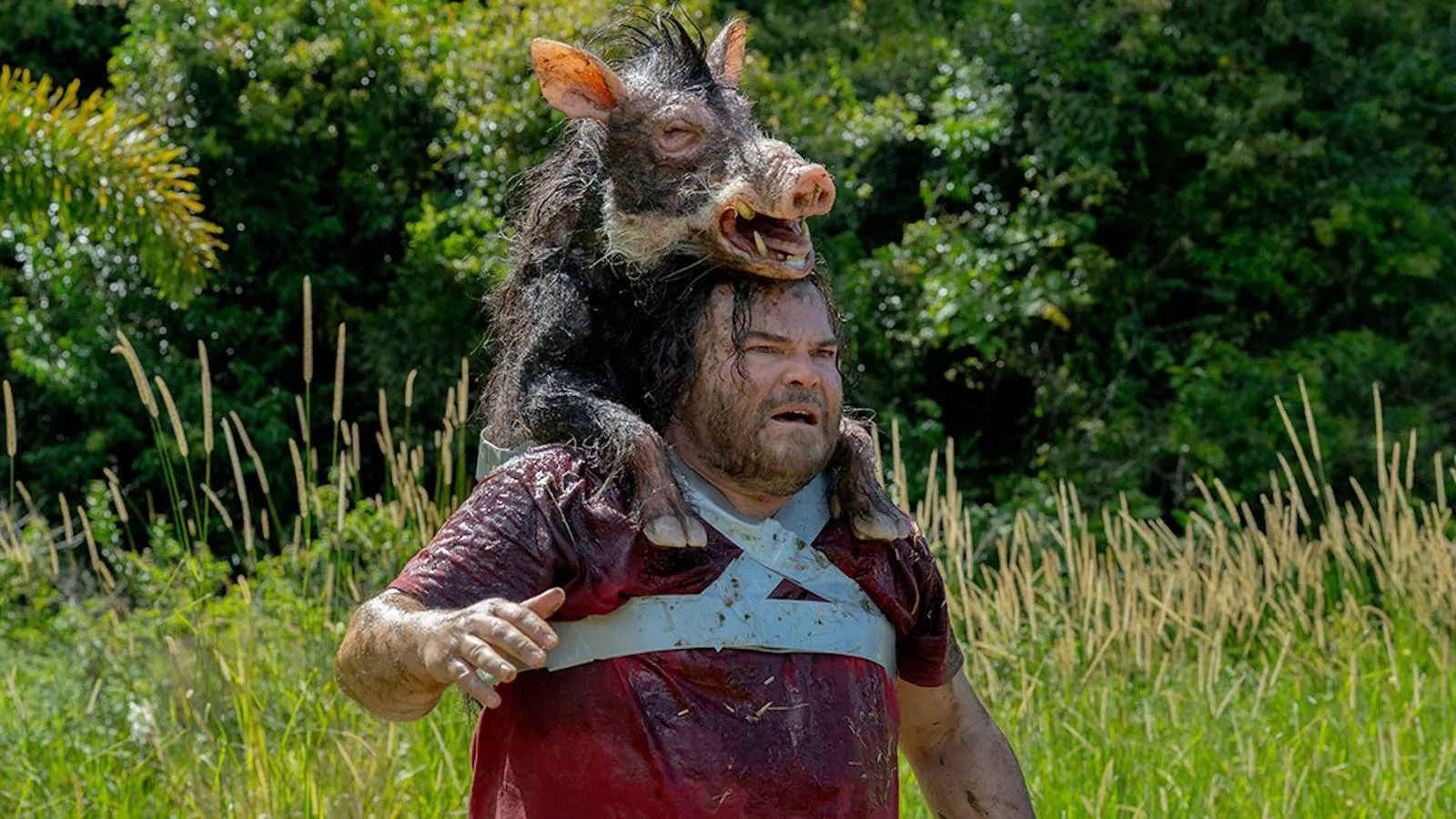 The Studio's Giant Snake Film Revival Proves to Be a Really Good Idea