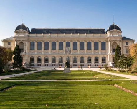 Historic Gold Samples Taken in Audacious Heist at French National Institution