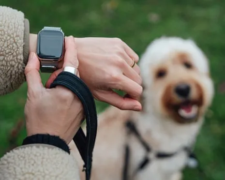 The Reality Concerning Smartwatches? Daily Existence Is Better Lacking a Nagging Gadget on Your Arm
